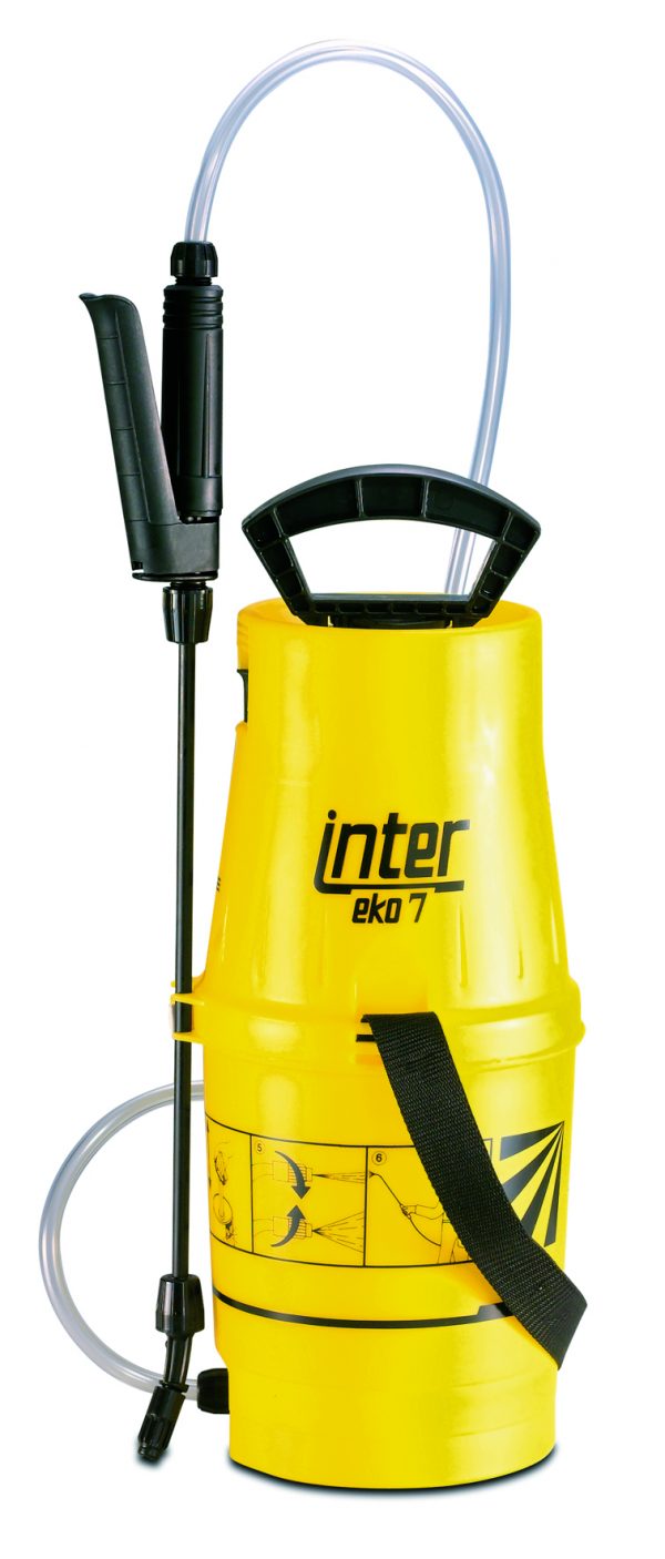 Inter 7
