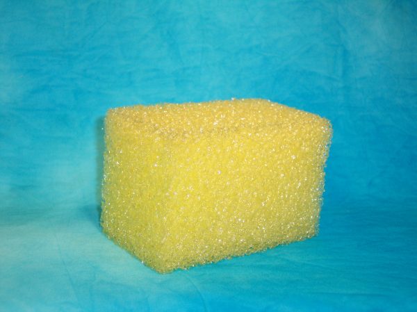 Bug sponge crunchie standard